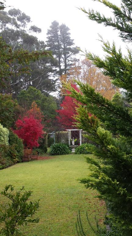 Winston Cottage At Three Sisters Katoomba Exterior photo