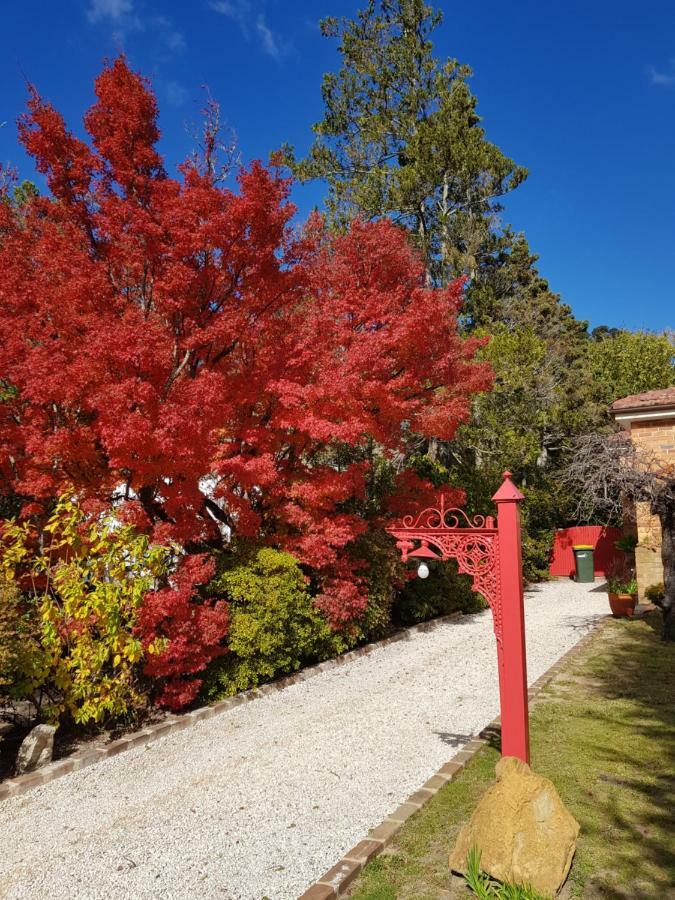 Winston Cottage At Three Sisters Katoomba Exterior photo